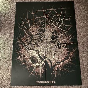Brand new Custom aluminum DC map wall art